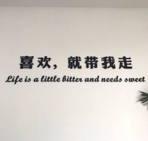 既然过去不能挽回,过去已逝，只能面向未来