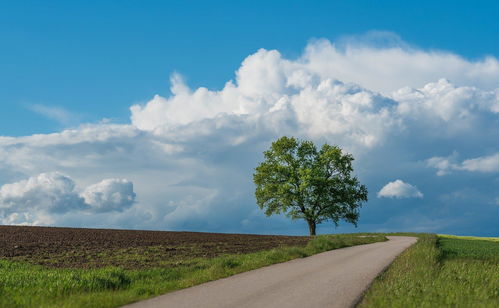 挽回怎么判断被吊着,重新挽回，找回失落的爱