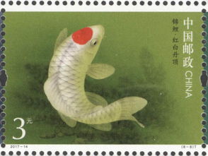 太锦鲤情感挽回,爱恋方寸间：太阳鱼情感复苏