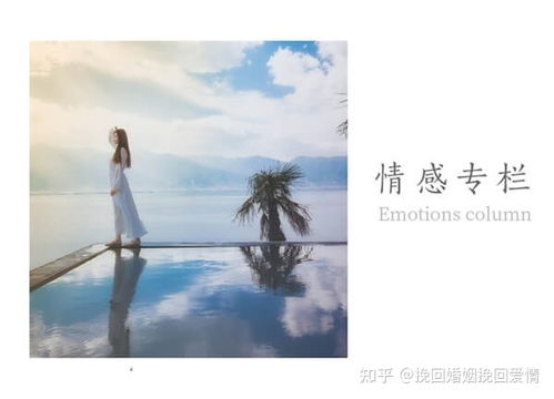 徐水怎样挽回婚姻感情,徐水成功挽回婚姻感情