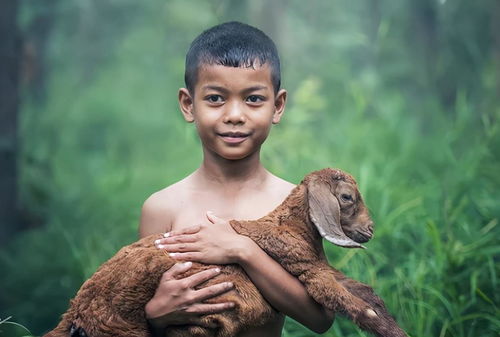 挽回狮子男最佳时间,如何在最佳时机挽回狮子男