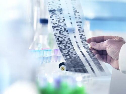 测你会挽回什么,测试你的挽回能力