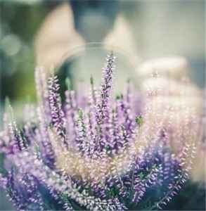 挽回他们的感情,挽回他们爱情的良方