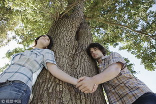 女友是否能挽回,如何挽回失去的女友