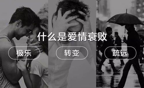 松原爱情挽回专业咨询,松原情感挽回咨询，爱情专业服务