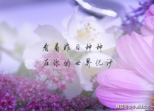 挽回失恋情歌,挽回爱情，诉说心声