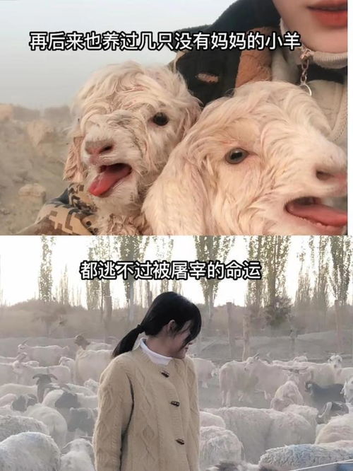 如何挽回牡羊女,挽回牡羊女的有效方法