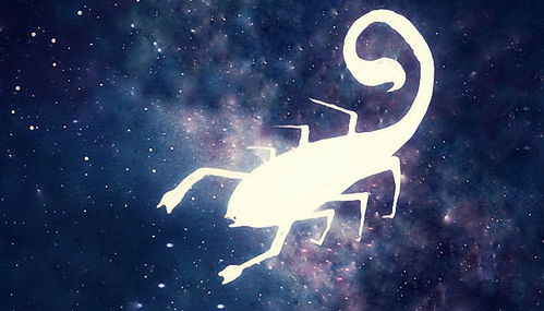 天蝎决定放弃别挽回,放手了，天蝎不再挽回