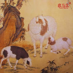 怎么挽回生肖羊,如何挽回属羊人？