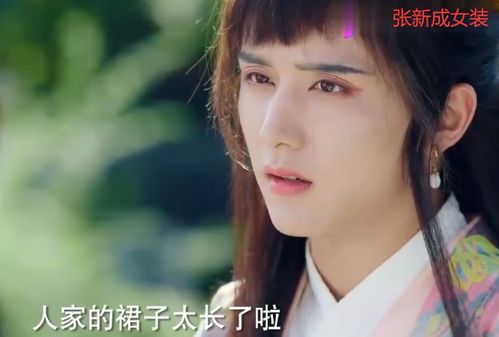 女尊男主挽回,男女角色互换，男主挽回女神