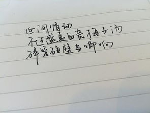 成功挽回女友经历小作文，多次道歉后，我终于挽回了女友的心