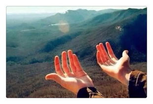 女子用生命挽回爱情,为爱而死：女子的生命拯救爱情