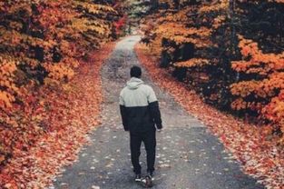 分手过后怎样挽回女友,如何挽回前女友