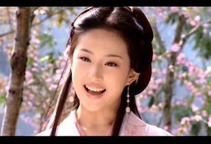 段誉为了挽回木婉清,段誉挽回木婉清的努力