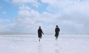 挽回感情的句子作文,如何重新点燃爱情之火