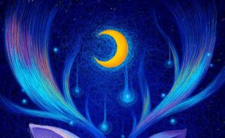 摩羯座8月挽回爱情,摩羯座8月恢复爱情