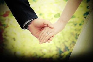 新欢挽回的几个阶段,挽回新欢的四个阶段