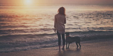 女孩没感觉怎么挽回,如何挽回女孩失去感觉