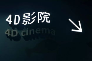 抖音小包文化挽回,重振文化：抖音的小包们