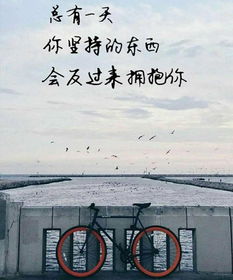 总是女生挽回前任文案，女生的感情荒原：重拾前任之路