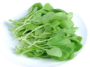 多吃菠菜变黑怎么挽回,挽救皮肤！多吃菠菜让肤色净白亮丽