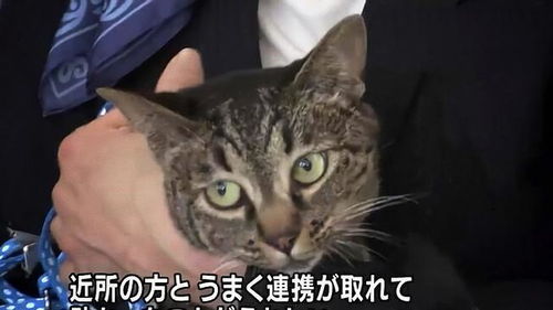 浙江知名情感挽回方法，快速拯救失恋的浙江情感复合技巧