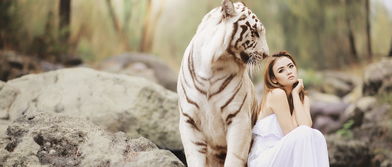 怎样挽回属虎男人，如何让属虎男人重燃爱情热情？