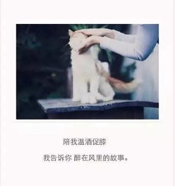 难以挽回的事情,事情无可挽回