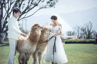 挽回老婆最好的话,如何用最好的话挽回老婆