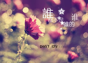 能挽回友情的句子,用这些句子来挽回友谊