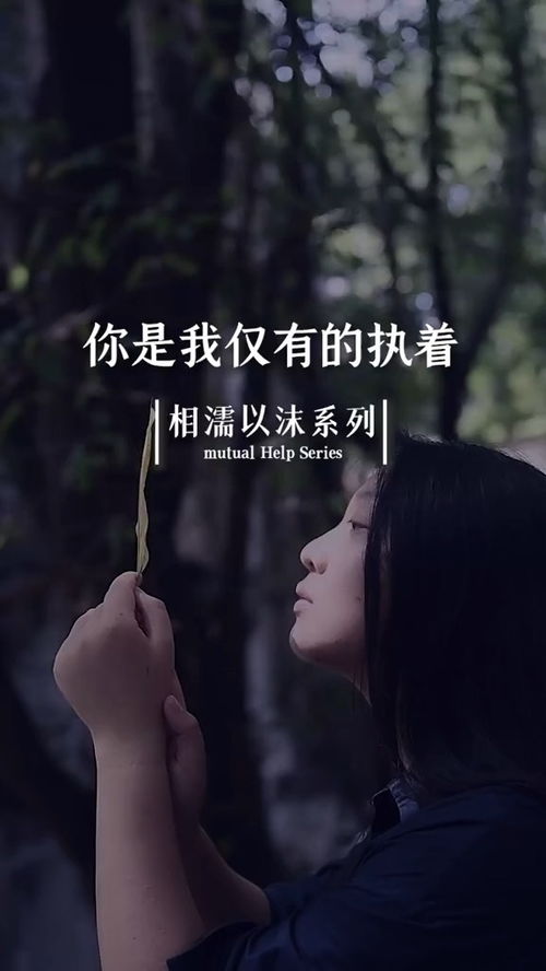 挽回新欢的经典语句,如何挽回前任的心？