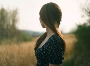 挽回婚姻坚持的诗句,婚姻于我莫负真情，不离不弃誓不更。