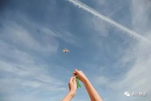 小闪电试图挽回形象,小闪电努力恢复形象