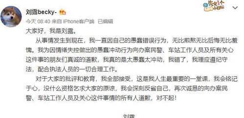 挽回时诚恳道歉范文,真诚认错，挽回信送达