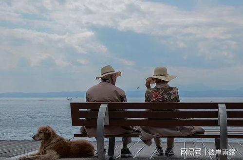 怎样挽回出轨离婚的儿子，拯救破碎家庭：挽回离婚儿子的心灵