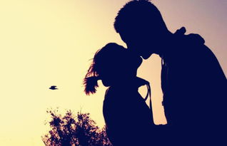 婚姻挽回如何才能放下,放下心结，重修爱情