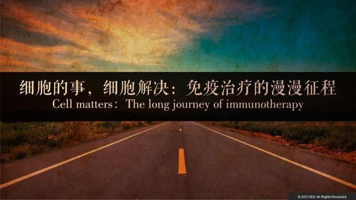 过去挽回未来的感悟,从过去中汲取教训，迈向美好未来