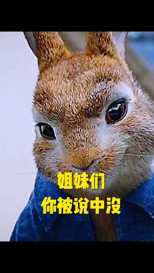 小鹿挽回是真的吗,小鹿挽回是真实的吗？-揭秘小鹿挽回真假