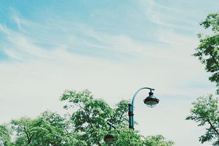 挽回一段友情,如何挽回友情：经历风雨仍相伴