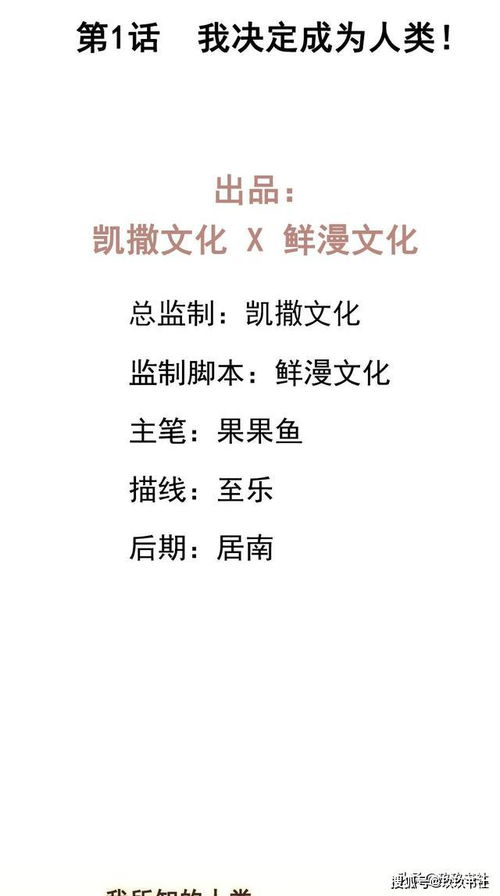 想挽回前任小作文,前任情感再续，你该怎么做？