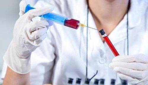 如何挽回o型血,挽救O型血关系的有效方法