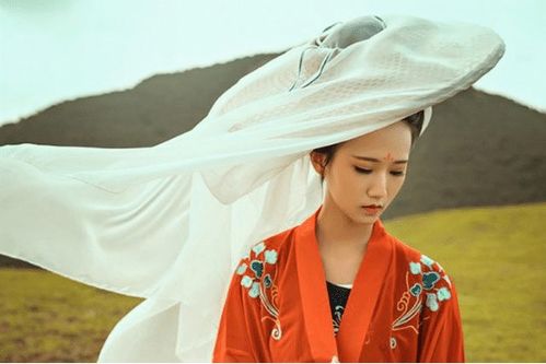 赢驷挽回闵月,如何让闵月回心转意