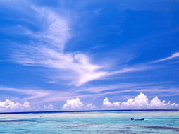 海阔天空怎么挽回,海阔天空的挽回之道