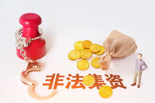 挽回非法集资款,挽回非法集资大额款项)