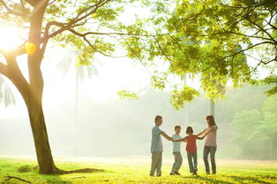 绍兴怎样挽回感情技巧,挽回感情的技巧：绍兴实践)