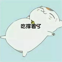 无可挽回西瓜,无法挽回的西瓜，怎么办？