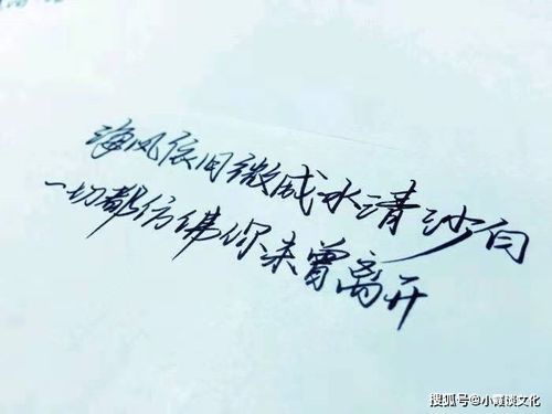 明知无力挽回的句子,重写：已无法挽回的事实，如何去面对？（31字）