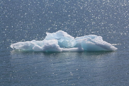 挽回复合鲸落,挽回失去的爱：如何成功复合？