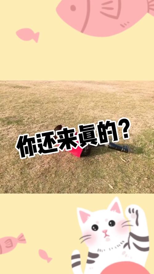 男朋友放弃挽回,放弃挽回，别浪费时间