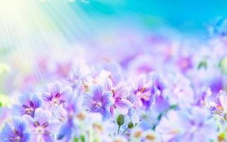 真心会挽回前任吗，如何真诚挽回前任的心？